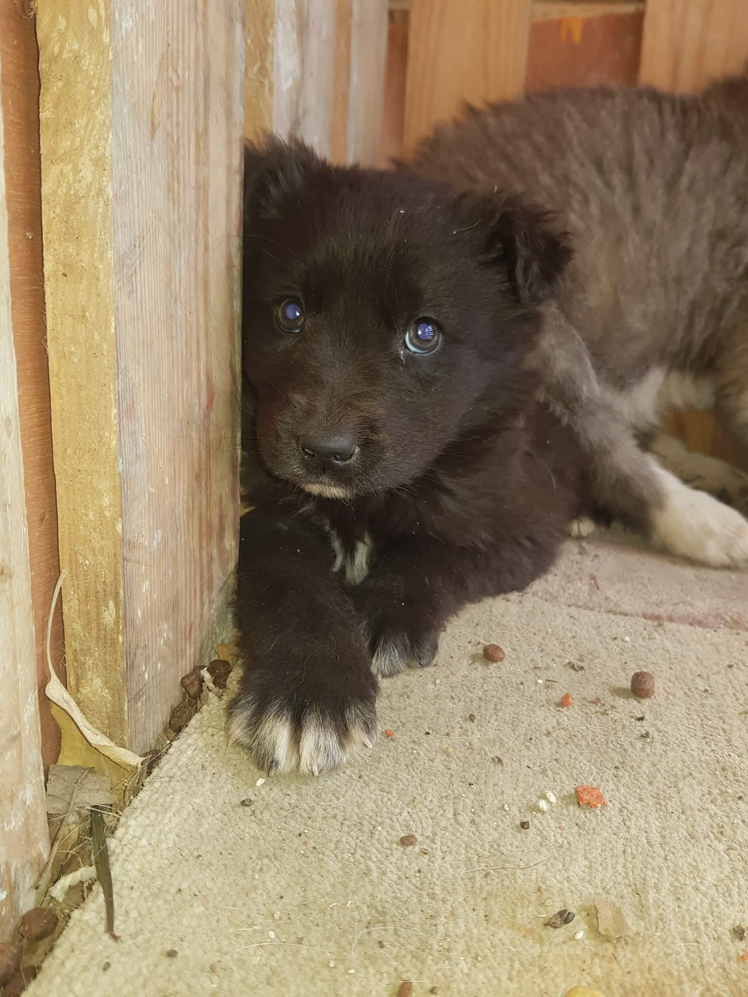 Μπεν & Άμπι - Πριν