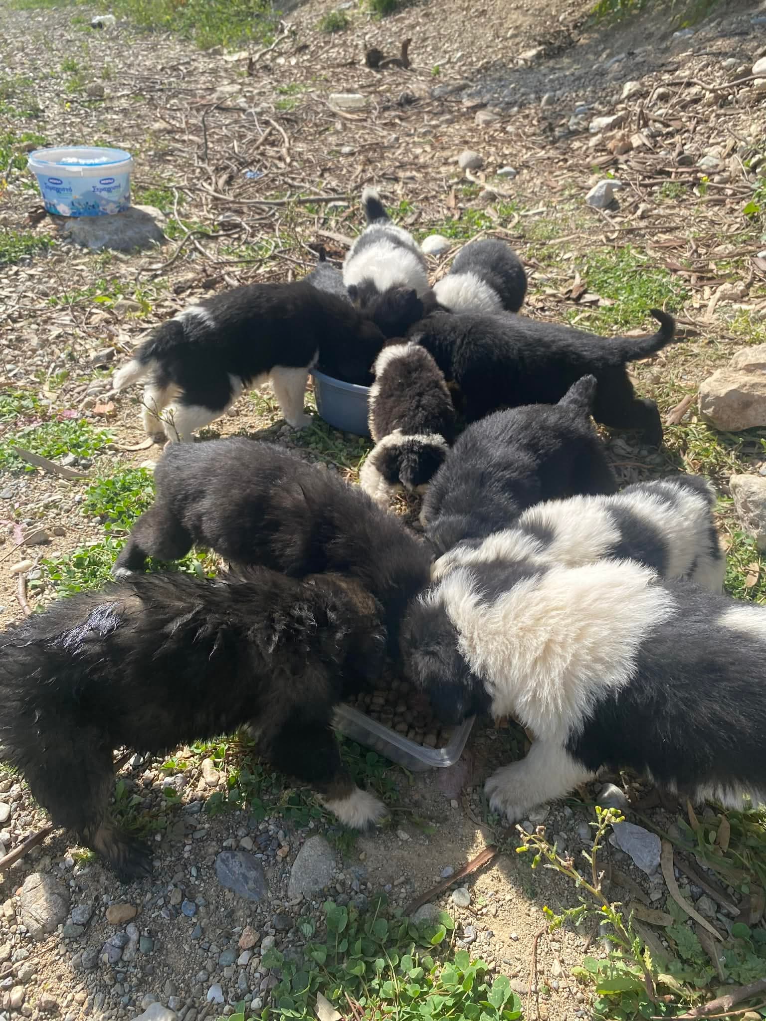 11 διαμαντάκια