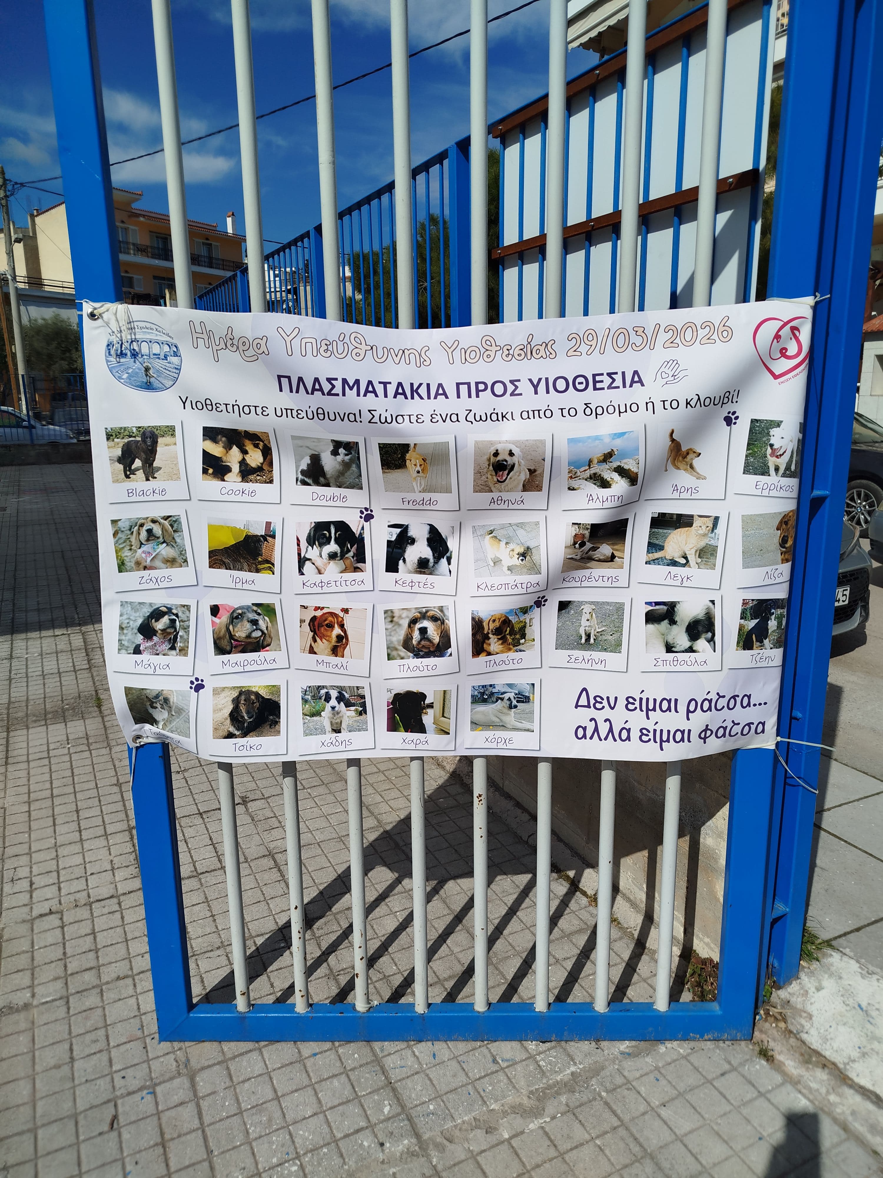 Ημέρα Υιοθεσίας 29/3/2026 - 12ο Δημοτικό Σχολείο Χαλκίδας