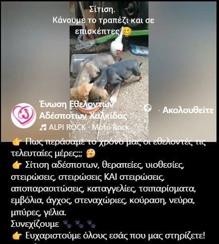 Πως περάσαμε το χρόνο μας οι εθελοντές τις τελευταίες μέρες;;; 🤔