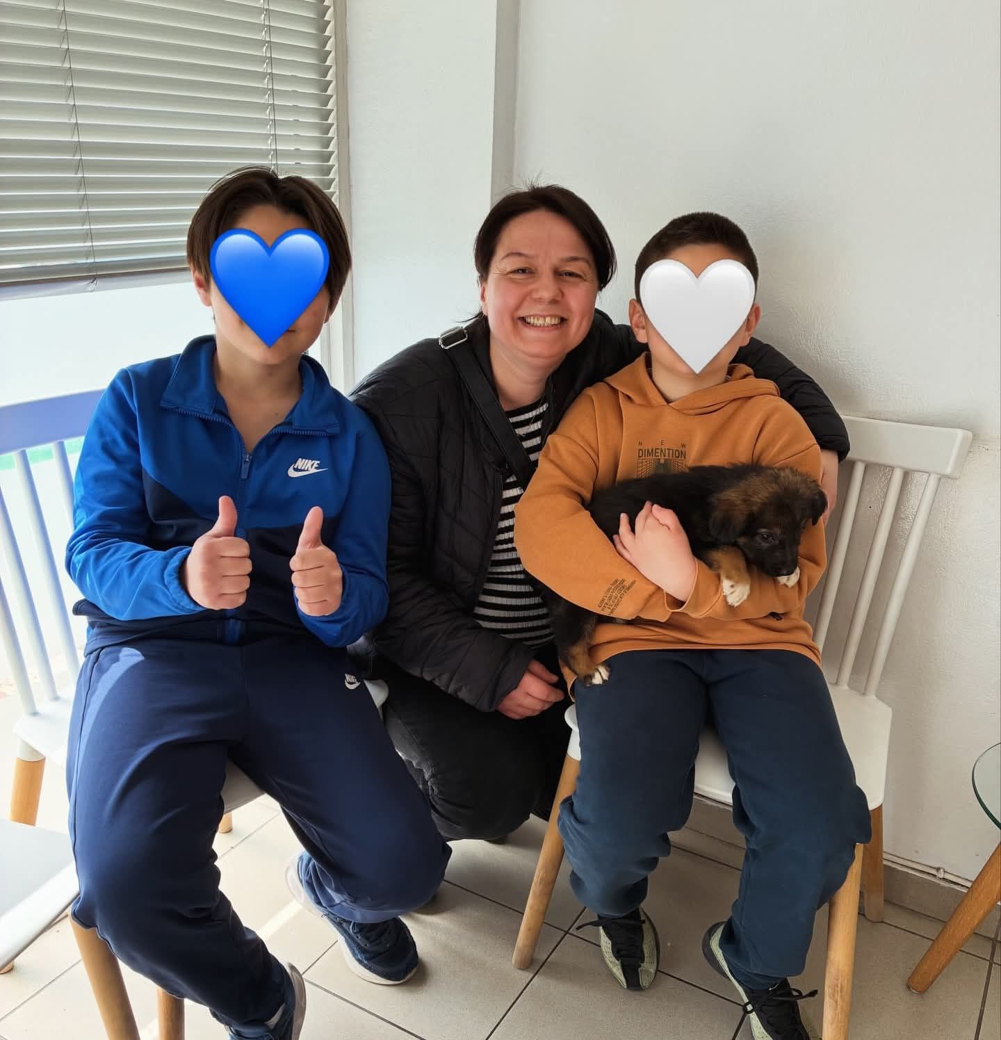 Μπισκοτένια