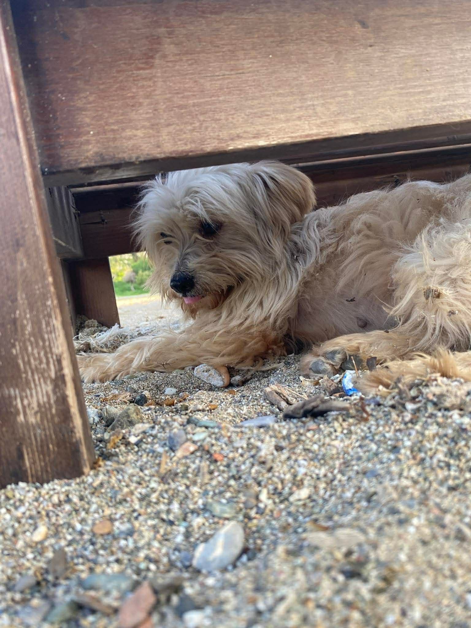 Μικρή - Πριν