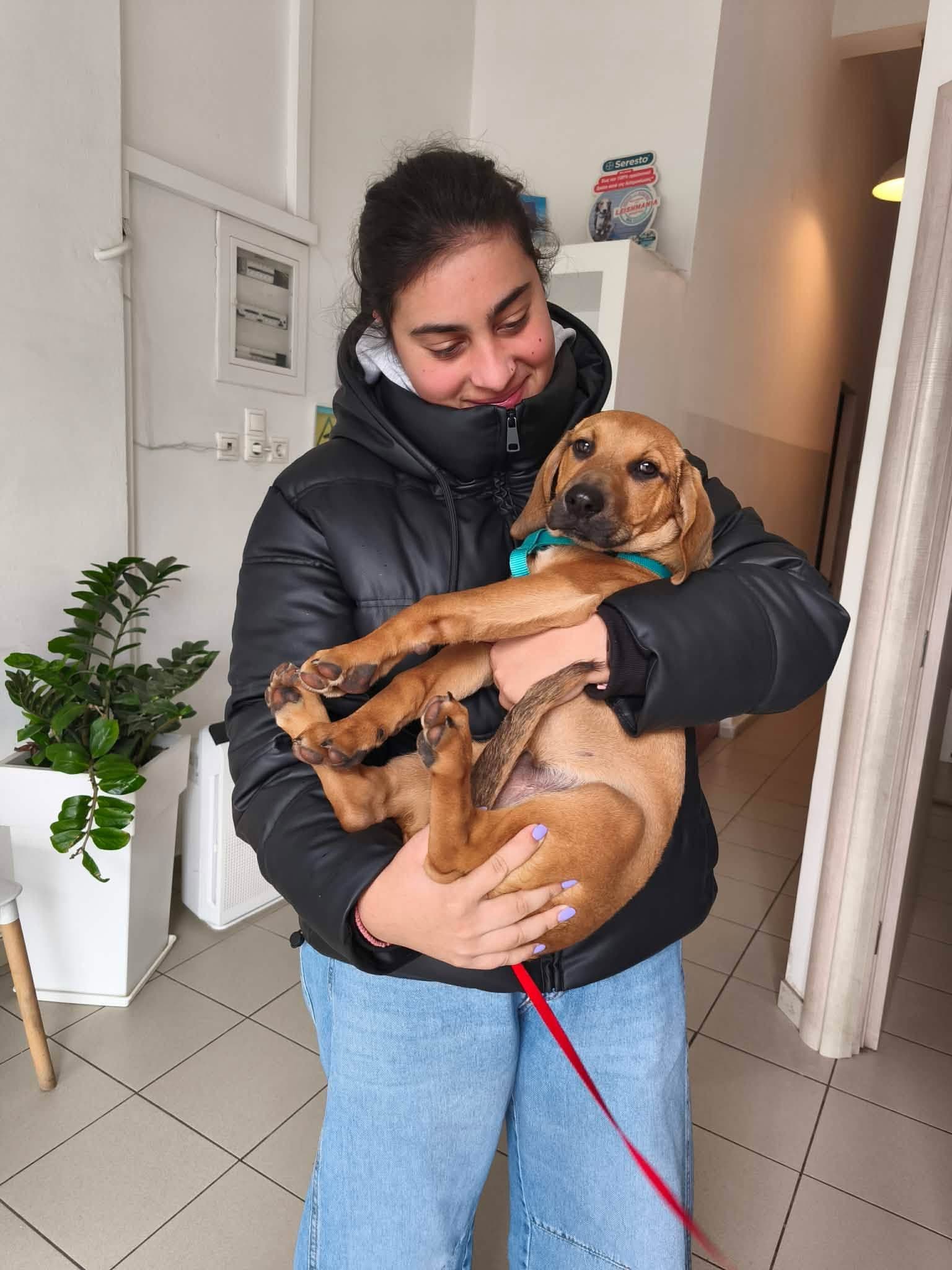 Υιοθεσία Μάγκα