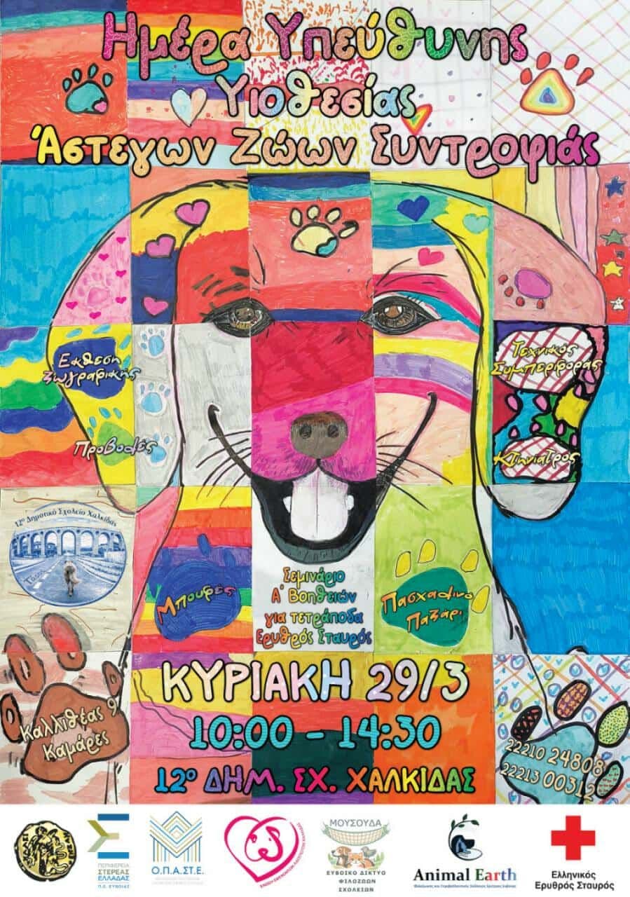 Ημέρα Υιοθεσίας 29/3/2026 - 12ο Δημοτικό Σχολείο Χαλκίδας