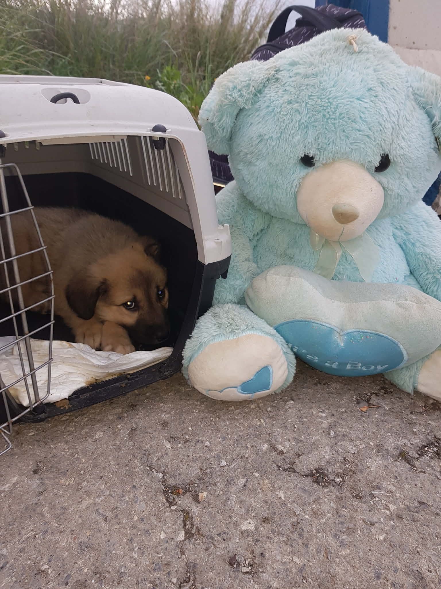 Τσάρλι - Πριν