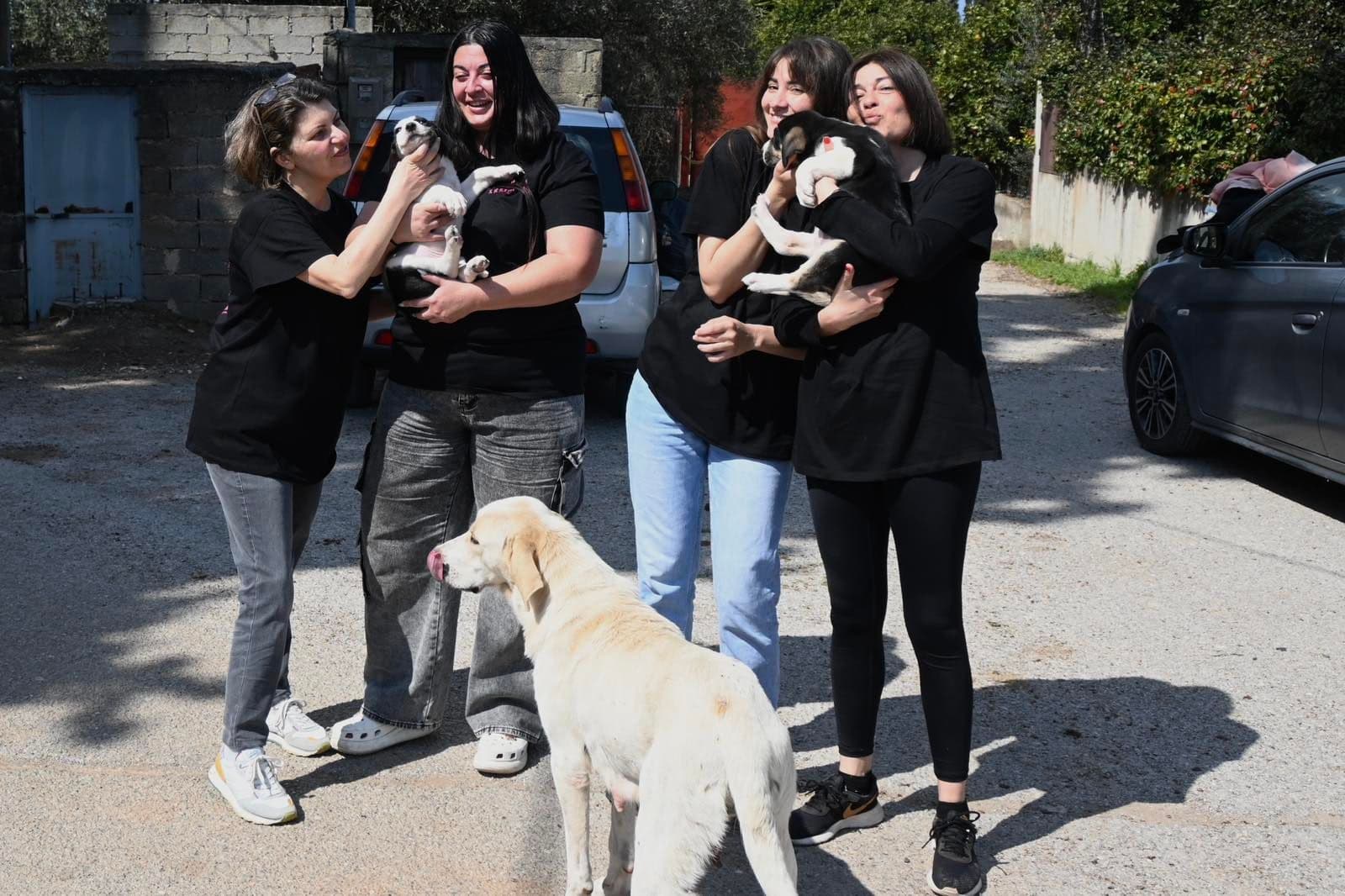 Εργασίες Καθαριότητας