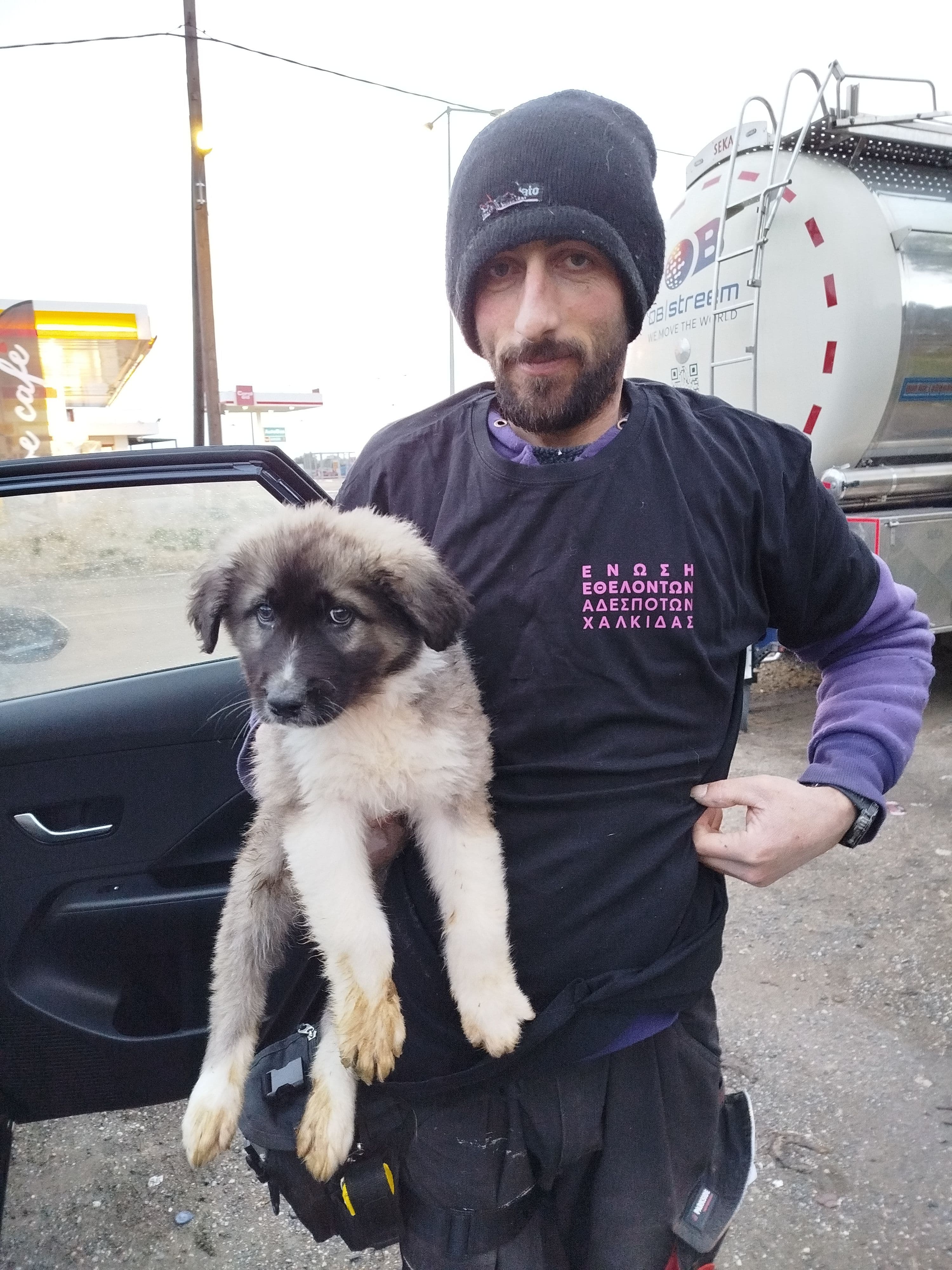 Υιοθεσία Μπεν & Άμπι